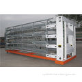 H type chicken layer cages for sale